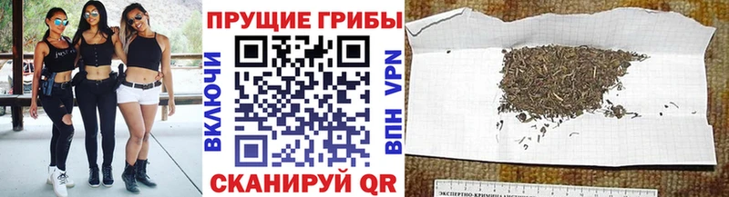 Галлюциногенные грибы GOLDEN TEACHER  Купить закладки  Николаевск-на-Амуре 